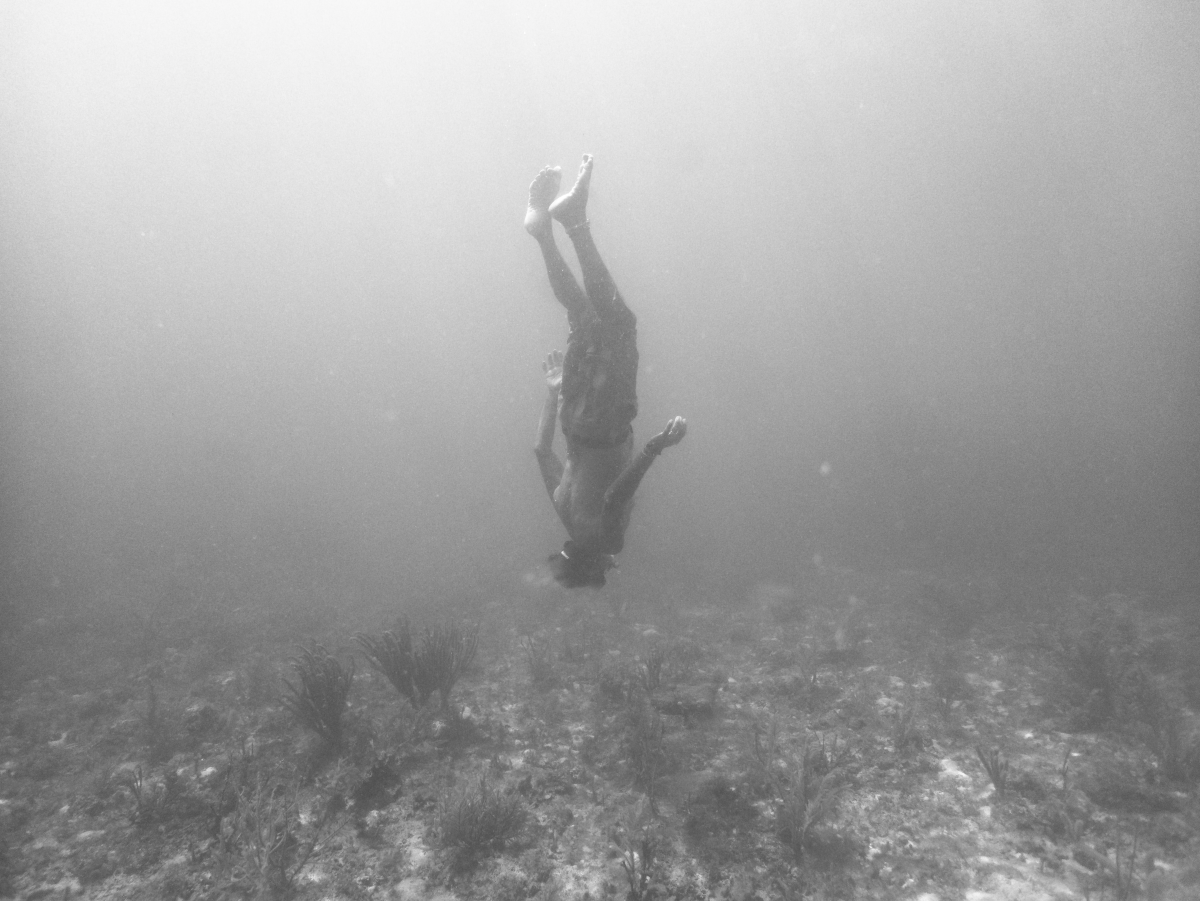 Image from The Emotional Power of Black and White Underwater Photography