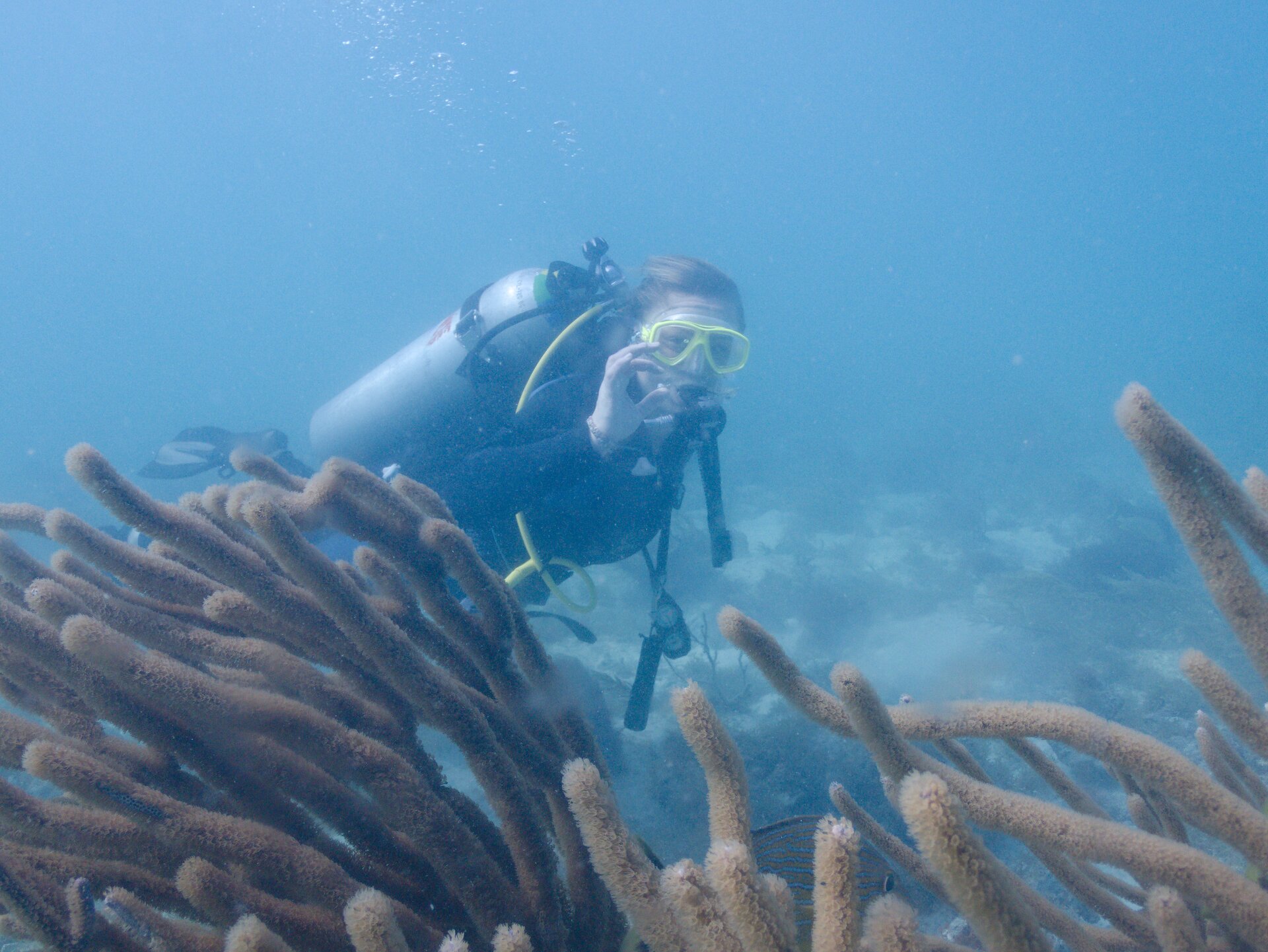 Image from Shore Dive at Ojo de Agua, Puerto Morelos